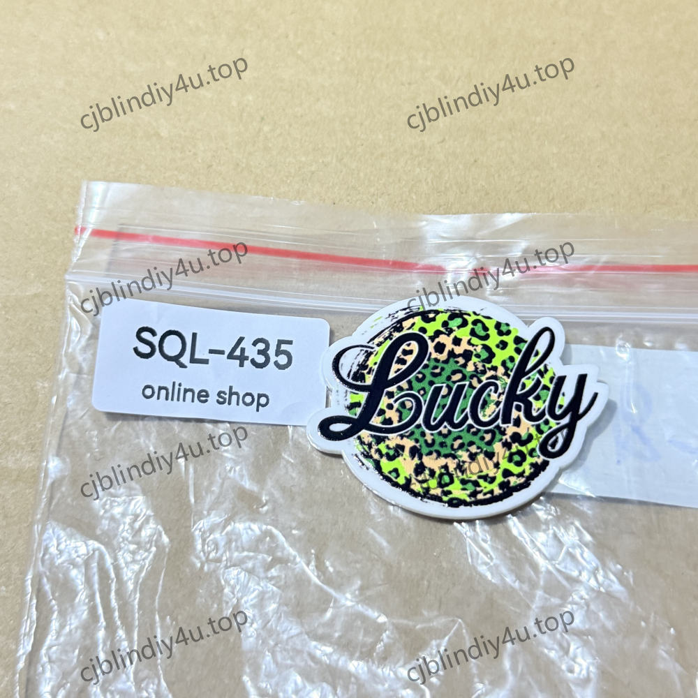 DIY Glitter Acrylics-Badge Reels/Earrings/Phone Cases/Keychains