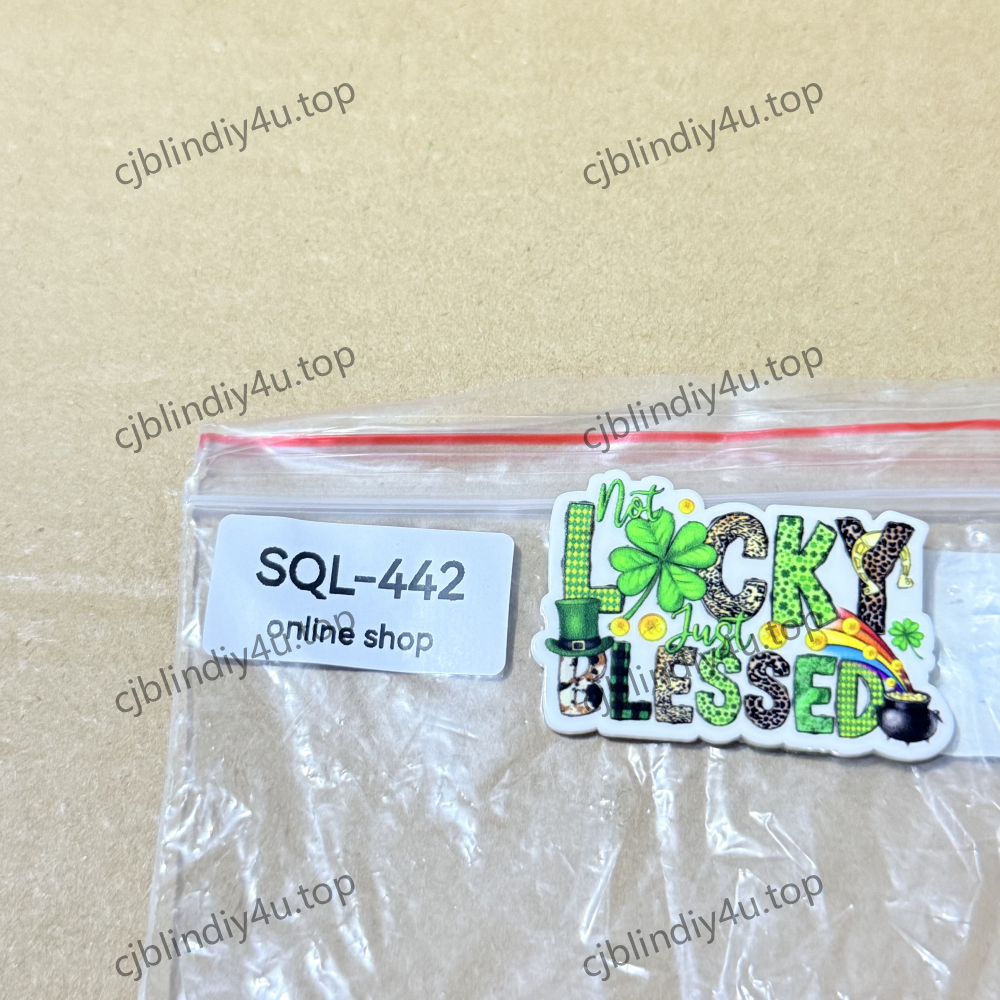 DIY Glitter Acrylics-Badge Reels/Earrings/Phone Cases/Keychains